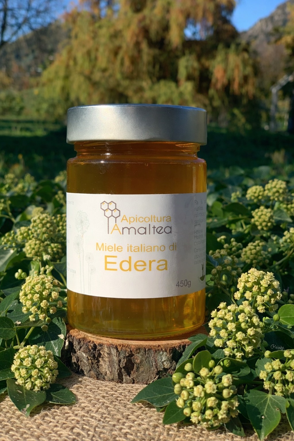 Miele di Edera