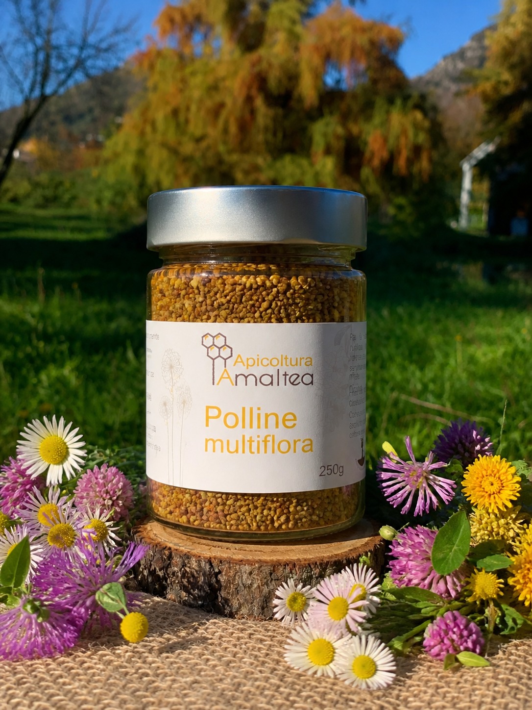 Polline di Multiflora